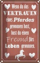 Blechschild 30x20 cm Vertrauen eines Pferdes Freund Tier Haustier Pferd