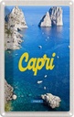 Blechschild 30x20 cm Retro Capri Italy Meer Bergen Bildmotiv Reisemotiv Abenteuer Reisen Urlaub