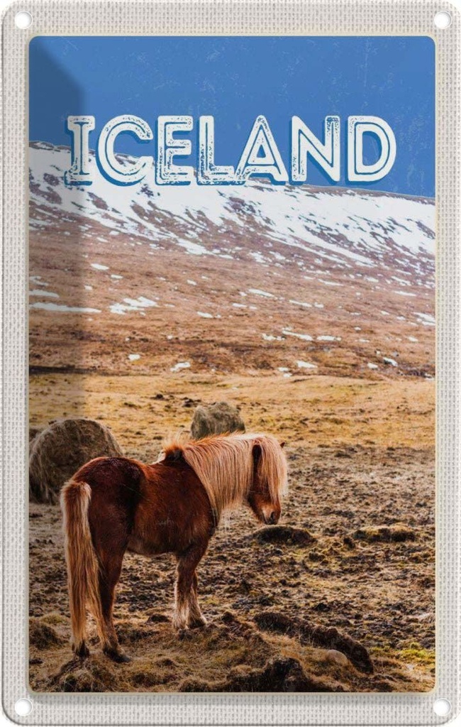 [LA-129804] Blechschild 30x20 cm Iceland Pony icelandic horse Bildmotiv Reisemotiv Abenteuer Reisen Urlaub