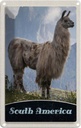Blechschild 30x20 cm Süd Amerika USA Urlaub Lama Gebirge Wiese Bildmotiv Reisemotiv Abenteuer Reisen