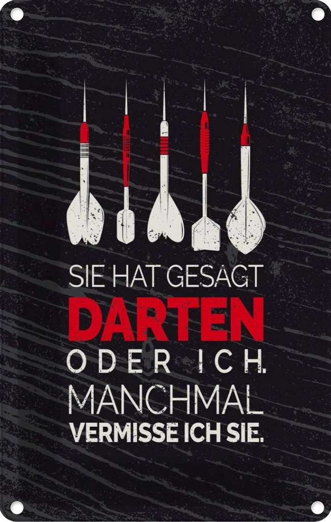 [LA-132509] Blechschild 30x20 cm lustig sie gesagt Darten oder ich Witz Humor Spaß