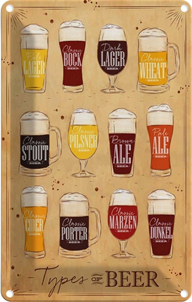 Blechschild 30x20 cm Types of Beer Bier Sorten