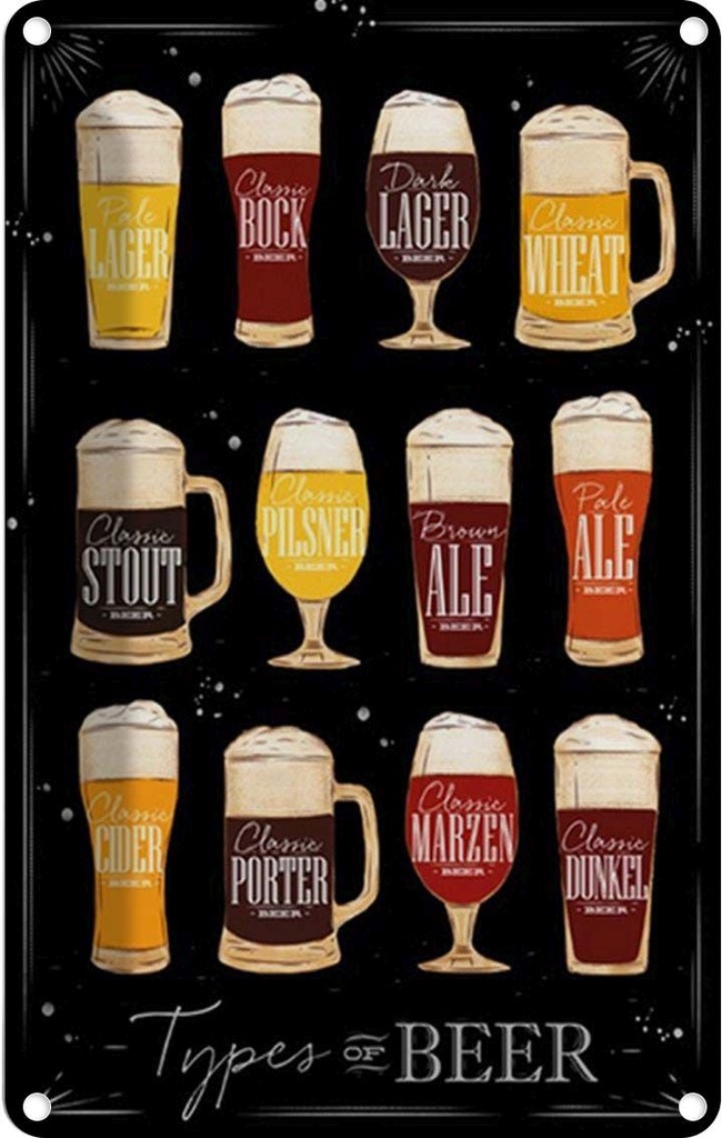 Blechschild 30x20 cm Types of Beer Bier Sorte