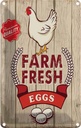 Blechschild 30x20 cm Huhn farm fresh eggs premium
