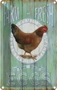 Blechschild 30x20 cm Huhn Farm fresh Eggs free range