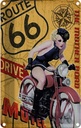 Blechschild 30x20 cm Route 66 the mother road Motel