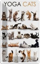 Blechschild 30x20 cm Yoga Cats Katzen