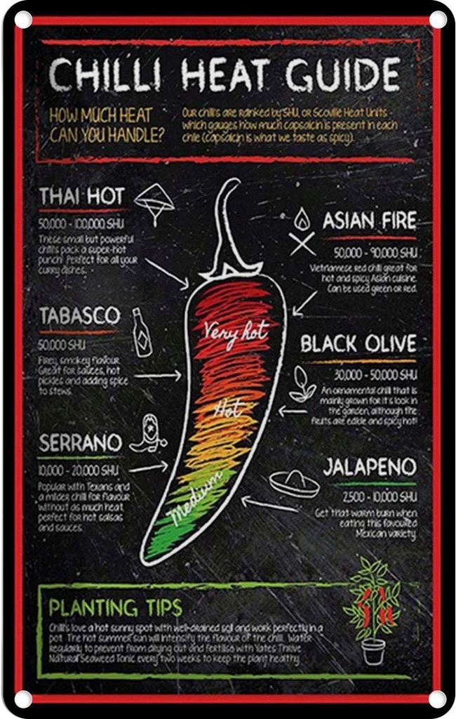 Blechschild 30x20 cm Chilli heat guide asian fire thai