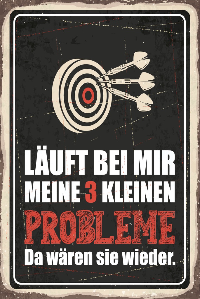 Blechschild 30x20 cm Dart Meine 3 kleinen Probleme Da wären sie