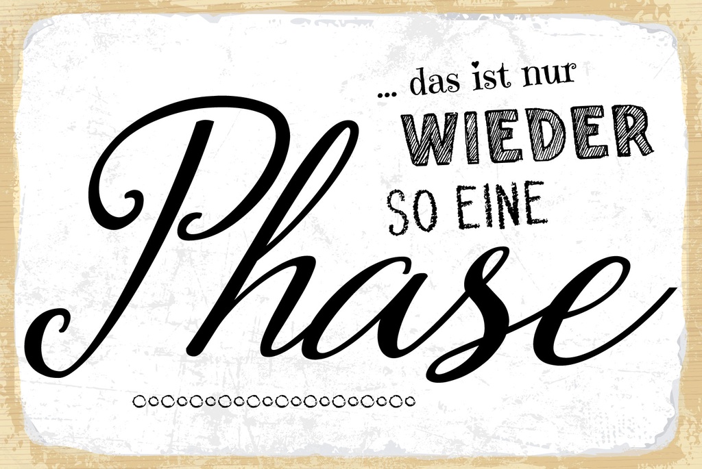 [LA-1809025] Blechschild 20x30 cm nur wieder so eine Phase