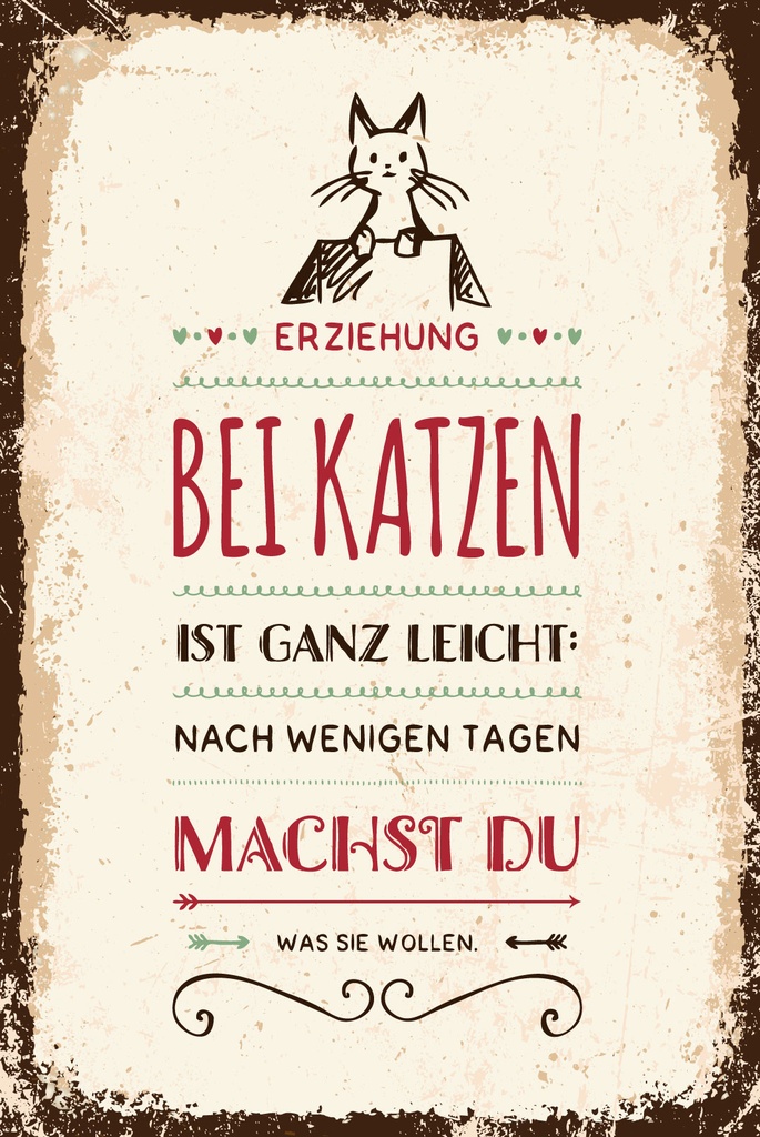 [LA-1809175] Blechschild 30x20 cm Erziehung bei Katzen ist ganz leicht