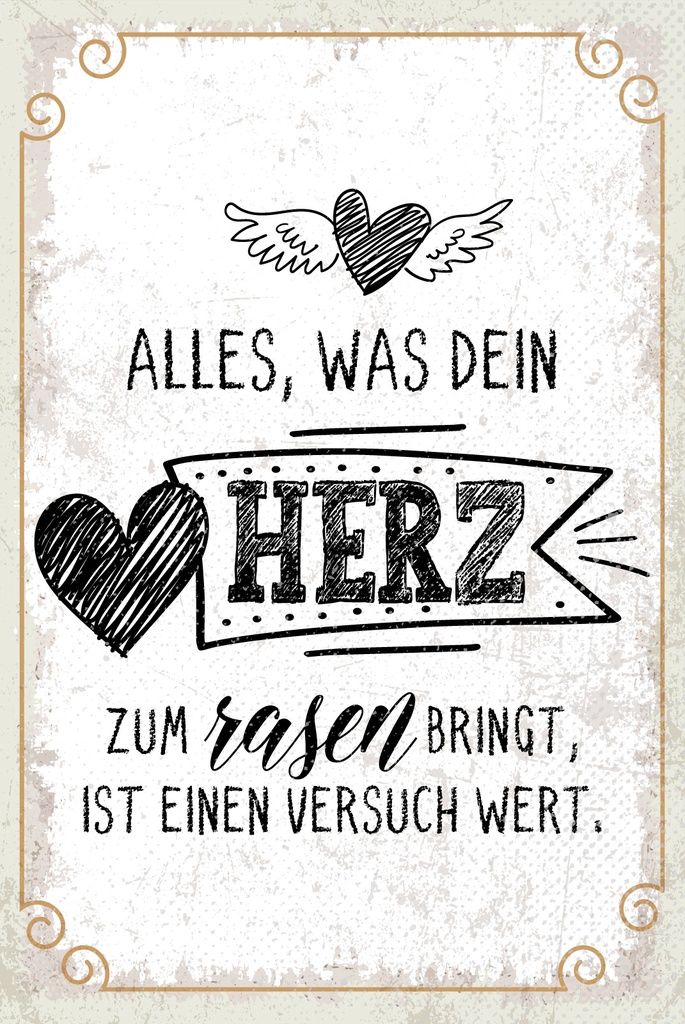 [LA-1809261] Blechschild 30x20 cm Alles, was dein Herz zum rasen bringt