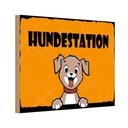 Holzschild 20x30 cm Hundestation orange Tier Haustier
