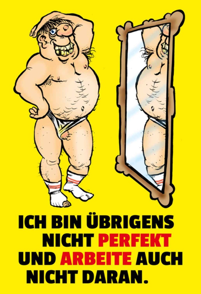 [LA-111878-H] Holzschild 30x20 cm ch bin übrigens nicht perfekt Dekoration