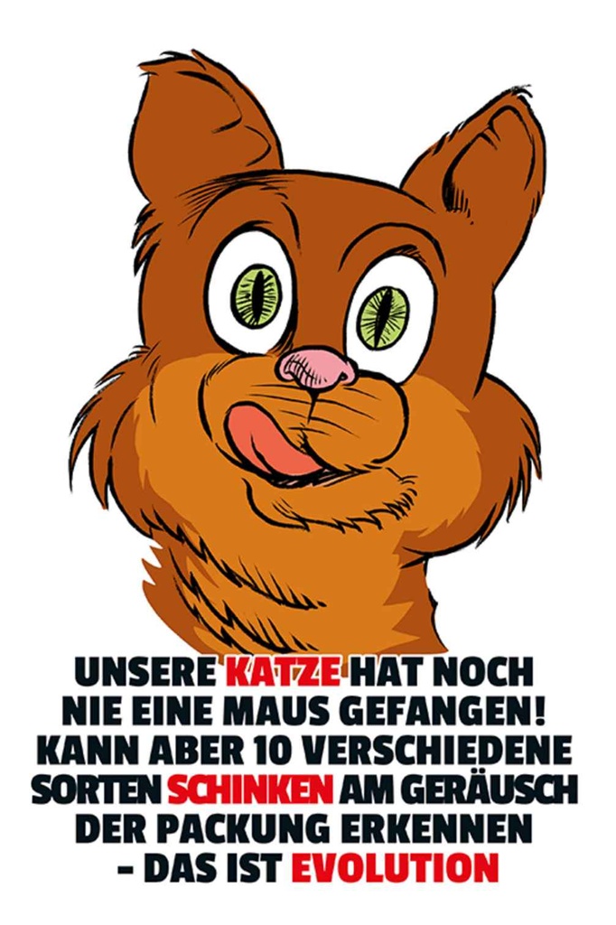[LA-111984-H] Holzschild 30x20 cm Katze hat noch nie Maus gefangen Tier Haustier