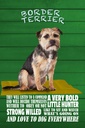 Holzschild 30x20 cm Border Terrier Hund a very bold