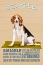 Holzschild 30x20 cm Beagle Hund loves to follow any