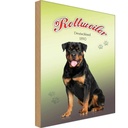 Holzschild 30x20 cm Hund Rottweiler Deutschland 1850 Tier Haustier