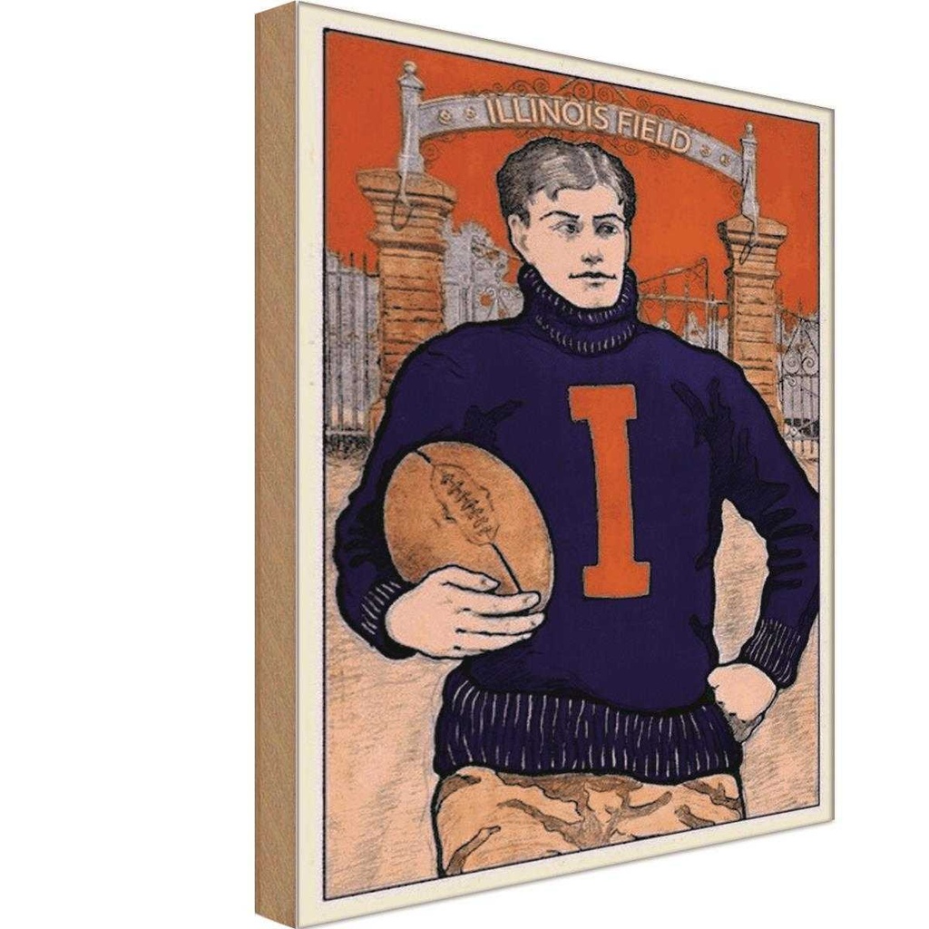 [LA-113894-H] Holzschild 30x20 cm American Football Illinois field