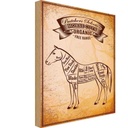 Holzschild 30x20 cm Pferd Horse cuts Organic Metzgerei Tier Haustier