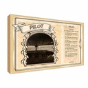 Holzschild 20x30 cm Pilot Beruf Arbeit