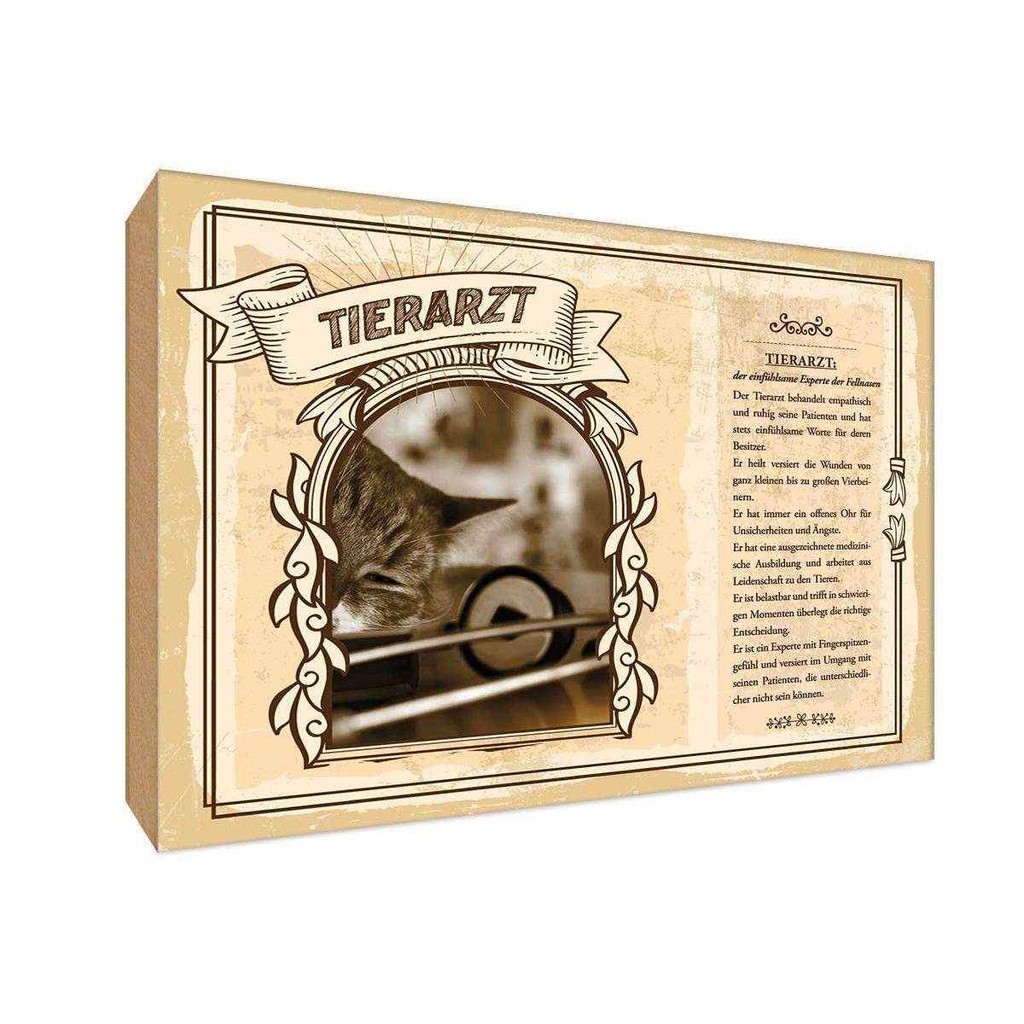 [LA-123099-H] Holzschild 20x30 cm Tierarzt Beruf Arbeit