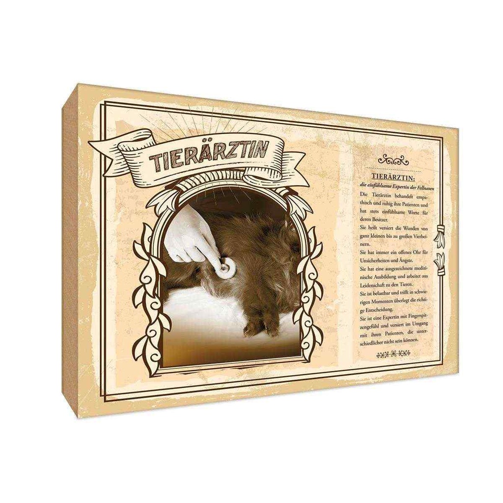 [LA-123100-H] Holzschild 20x30 cm Tierärztin Beruf Arbeit