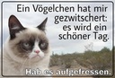 Holzschild 20x30 cm Katze Vögelschen gezwitschert