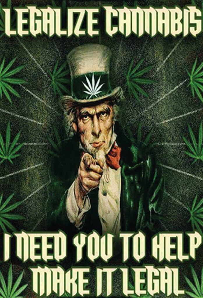 Holzschild 30x20 cm legalize cannabis need you help