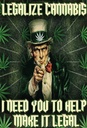Holzschild 30x20 cm legalize cannabis need you help