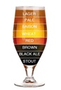 Holzschild 30x20 cm Bier Bierglas lager pale saison