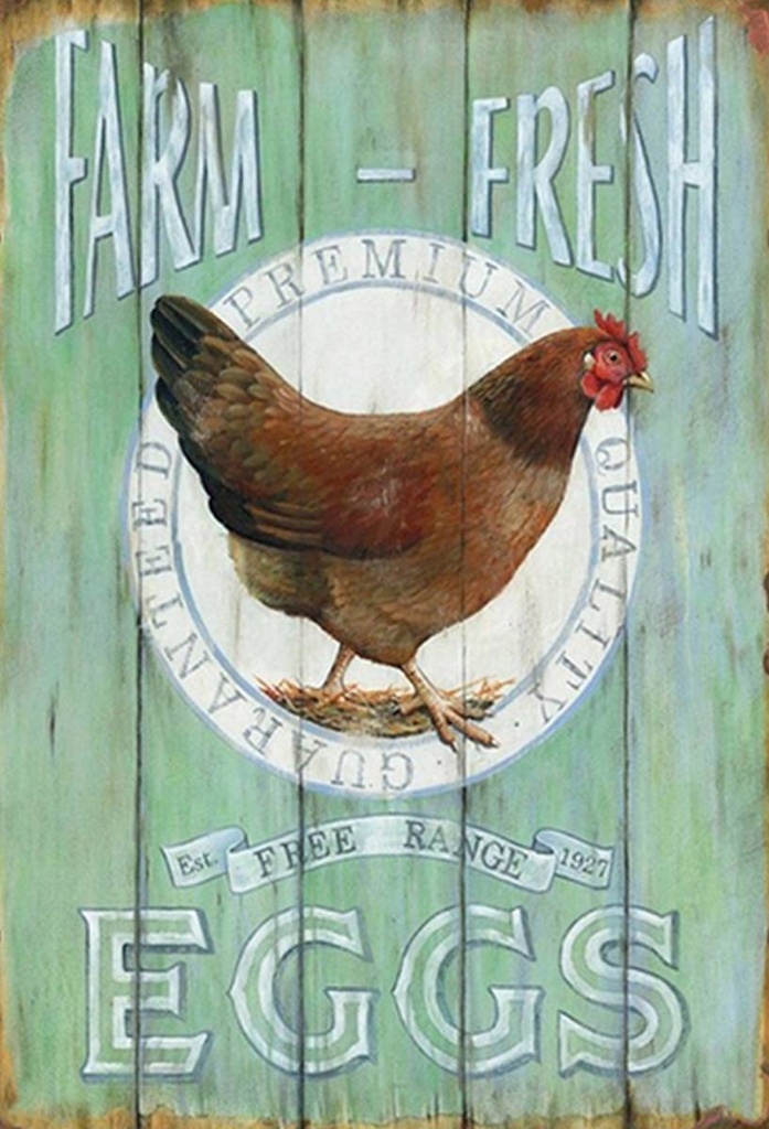 Holzschild 30x20 cm Huhn Farm fresh Eggs free range
