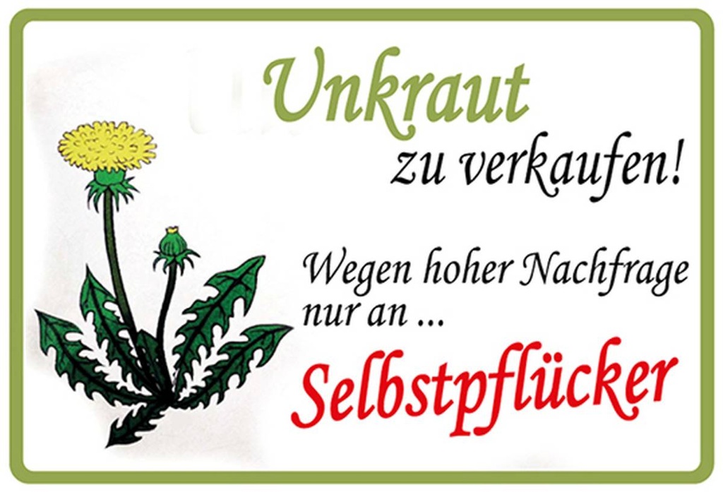 Holzschild 20x30 cm Unkraut verkaufen Selbstpfücker