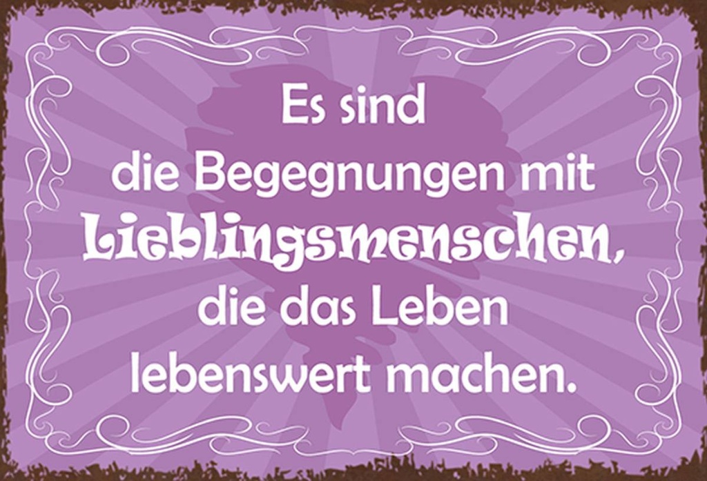 Holzschild 20x30 cm Begegnungen Lieblingsmenschen