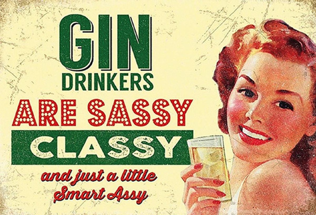 Holzschild 20x30 cm Gin drinkers are syssy classy