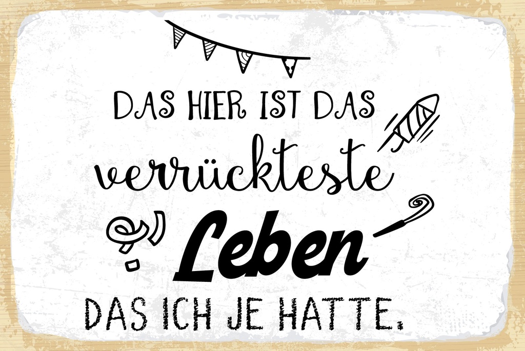 [LA-1809039-H] Holzschild 20x30 cm Das verrückteste Leben das ich je hatte