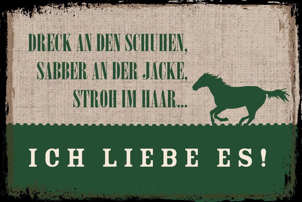 [LA-1809151-H] Holzschild 20x30 cm Stroh im Haar Ich liebe es Pferd