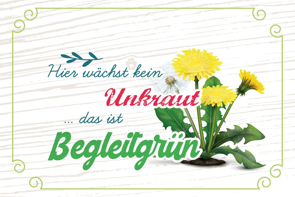 [LA-1809196-H] Holzschild 20x30 cm kein Unkraut das ist Begleitgrün