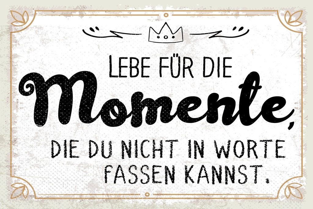 [LA-1809244-H] Holzschild 20x30 cm Momente die du nicht in Worte fassen kannst