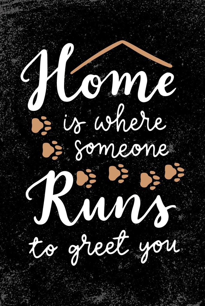 [LA-1809412-H] Holzschild 30x20 cm Home is where someone runs to greet you
