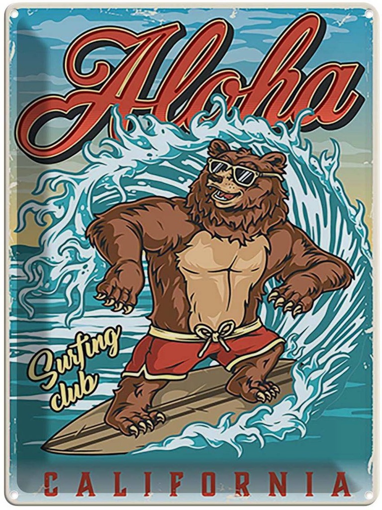 [LA-118711] Blechschild 40x30 cm Aloha California Sommer Sport Amerika USA