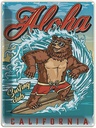 Blechschild 40x30 cm Aloha California Sommer Sport Amerika USA