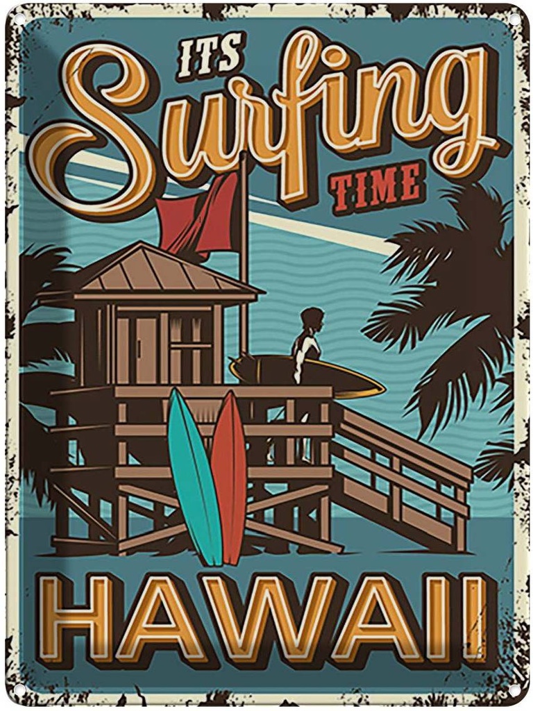 [LA-118767] Blechschild 40x30 cm ist Surfing time Sport Hobby