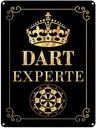 Blechschild 40x30 cm Dart Experte Krone Sport Hobby