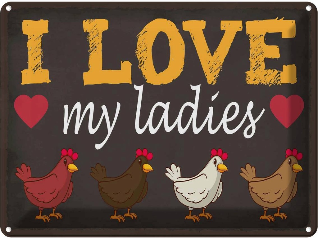 [LA-119308] Blechschild 30x40 cm Hühner i love my ladies Tier Haustier