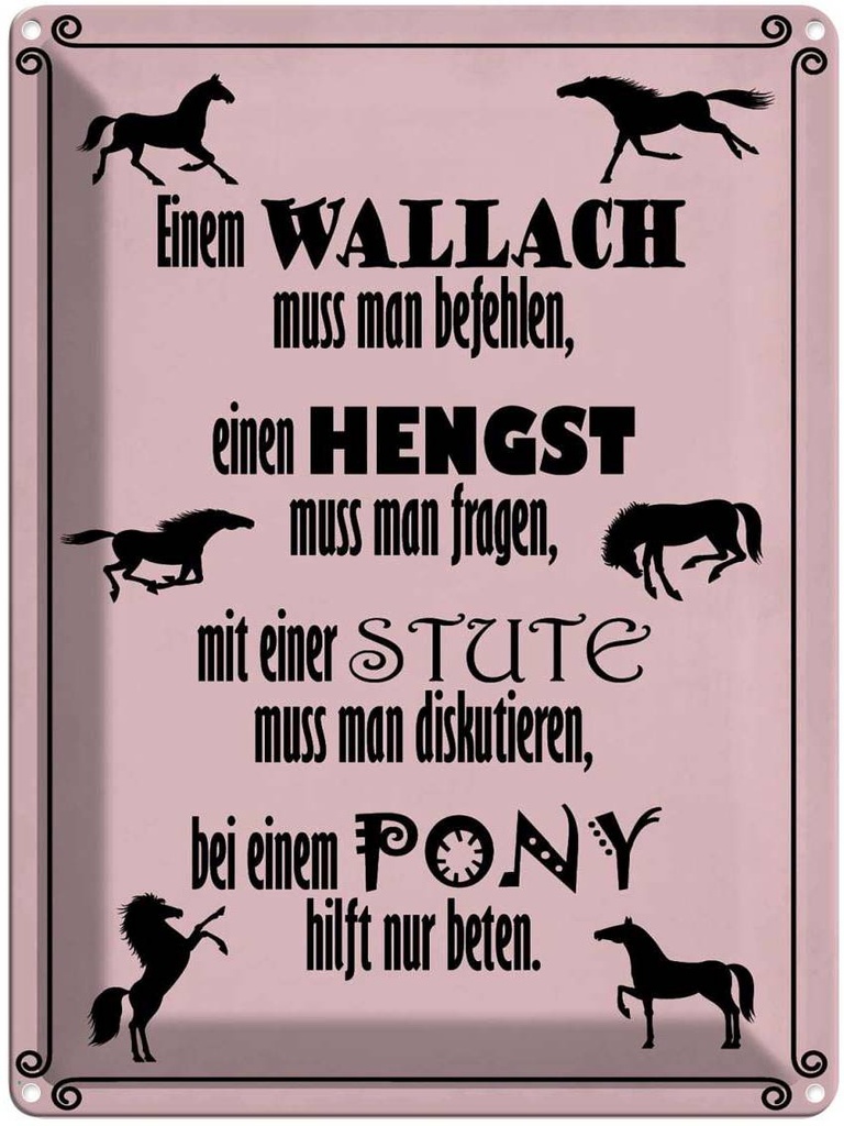 [LA-119311] Blechschild 40x30 cm Pferde Wallah Hengst Pony Stute Tier Haustier Pferd