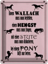 Blechschild 40x30 cm Pferde Wallah Hengst Pony Stute Tier Haustier Pferd