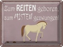 Blechschild 30x40 cm zum Reiten geboren Pferd Tier Haustier
