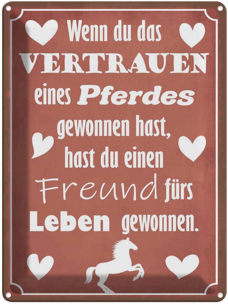 [LA-119321] Blechschild 40x30 cm Vertrauen eines Pferdes Freund Tier Haustier Pferd