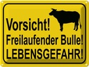 Blechschild 30x40 cm Vorsicht freilaufender Bulle Warnschild Hinweisschild Sicherheit